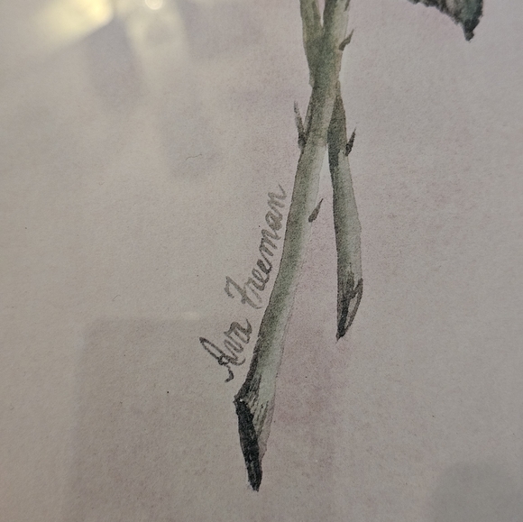 Vintage Ava Freeman Framed Art Print Roses 21x10 in Yard Long - Picture 3 of 6